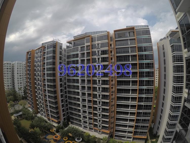 Coco Palms (D18), Condominium #167394042